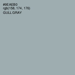 #9EAEB0 - Gull Gray Color Image